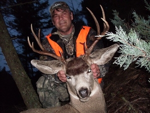 2009deer%20005.jpg