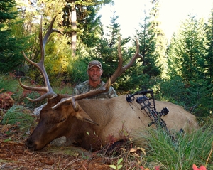 2015IdahoElk8.jpg