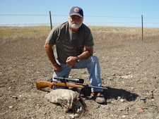 Lacy and a long range badger