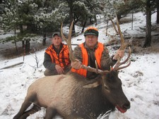 Elk hunting in Montana