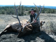 Bruce and his breaks bull