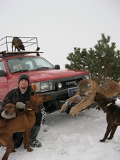 Mackenzie and the hounds