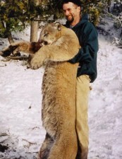 A huge tom lion