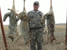 A good day coyote hunting