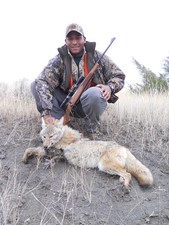 coyote hunt