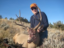 Hunting Mule Deer 