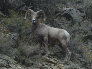 Hunting%20pictures%20111.jpg