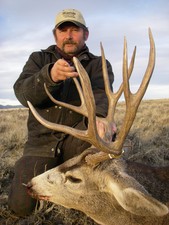 Mule deer hunting