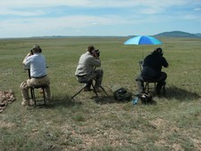 Prairie dog shooting