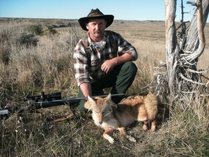 coyote%20002.JPG