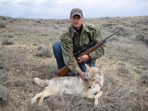 coyote%20009.jpg