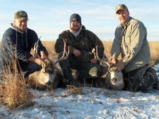 Mule deer hunters