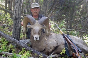 montana-bighorn-sheep-hunt.jpg