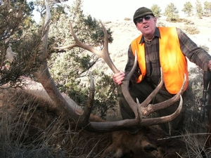 montana-elk-hunting.jpg