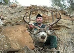 montana-mule-deer-hunting.jpg