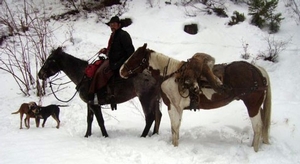 mountain-lion-hunting-horses.jpg