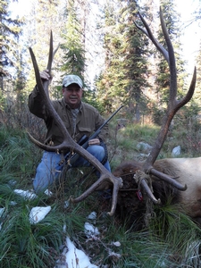 rsz_elk_idaho_042.jpg