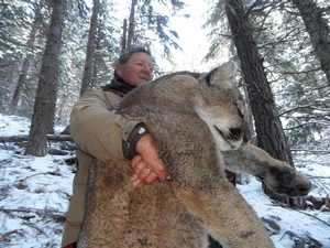 rsz_idaho_2013_lion_013.jpg