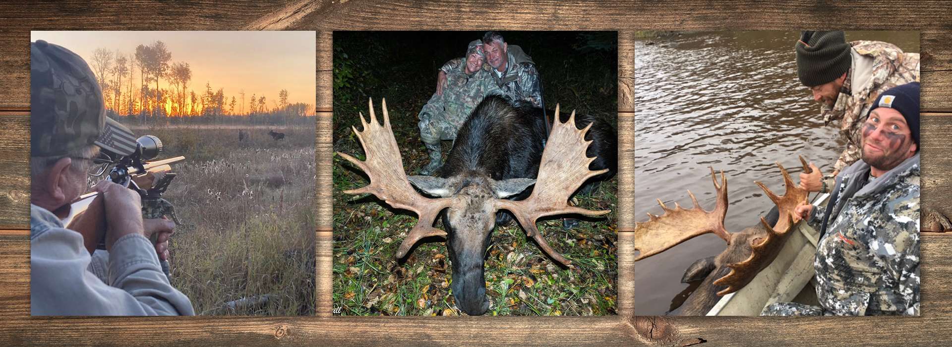 Moose Hunts