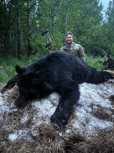 Alberta Black Bear Hunts