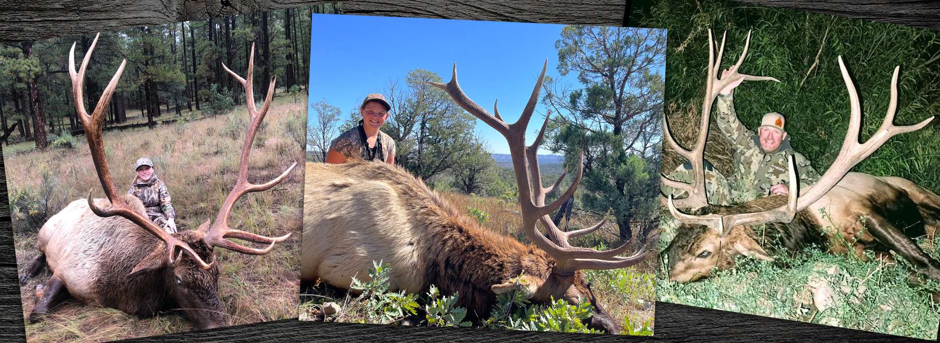 Trophy Arizona Elk Hunting