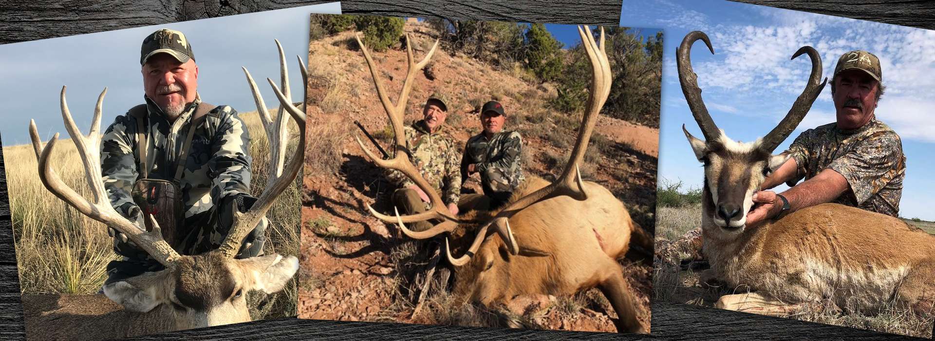 New Mexico Big Game Hunts