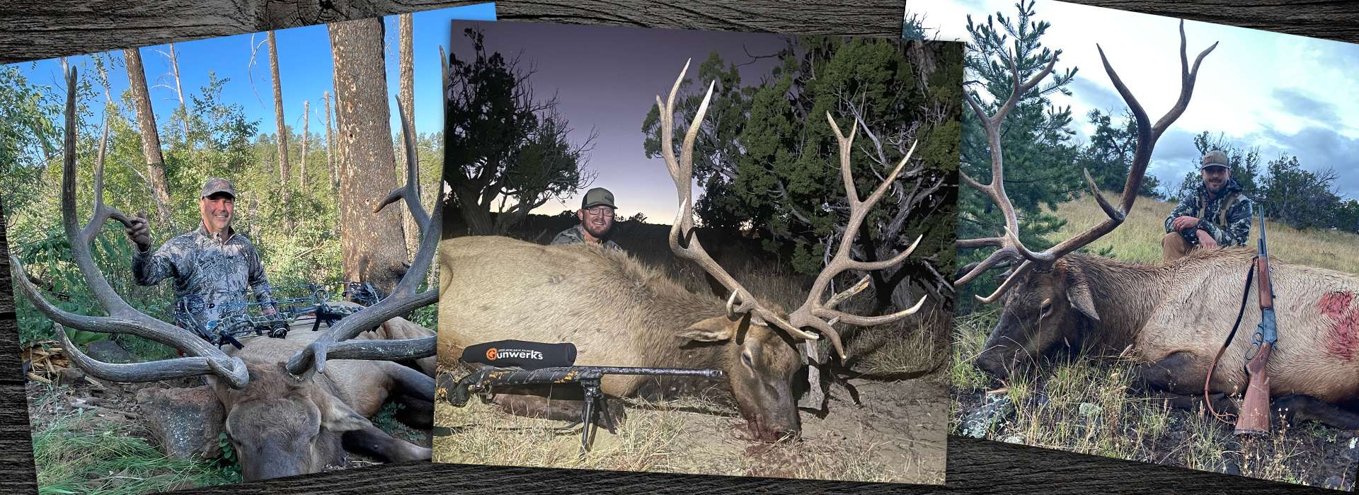 Trophy New Mexico Elk Hunting