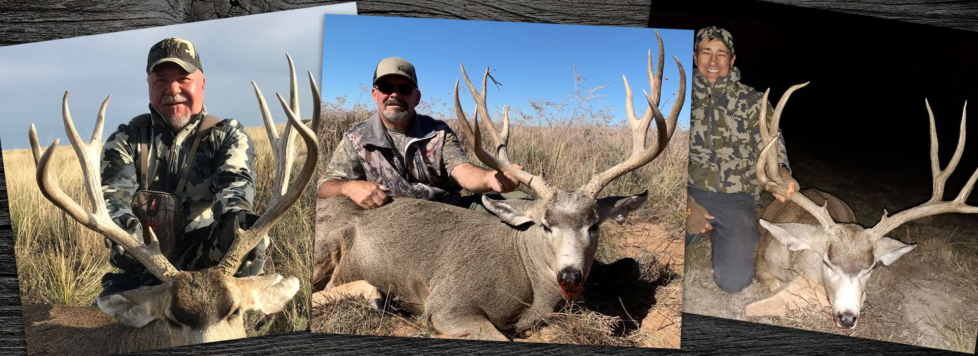 New Mexico Guided Mule Deer Hunts