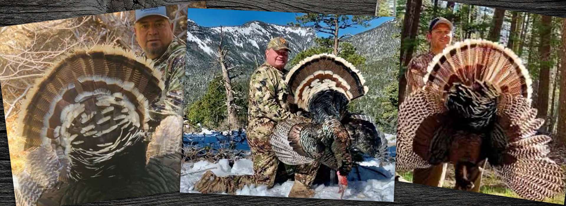 New Mexico Turkey Hunts