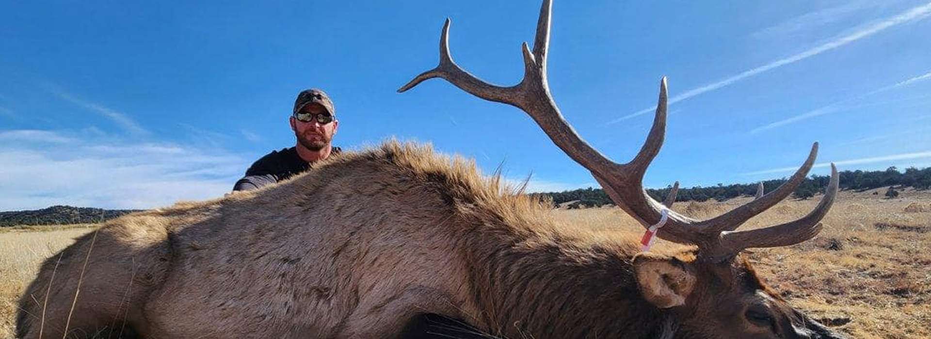 New Mexico Landowner Bull Elk Tags For Sale