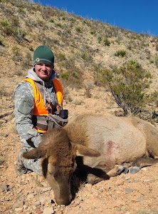 Cow Elk Hunts