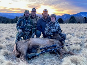 Cow Elk Hunts New Mexico