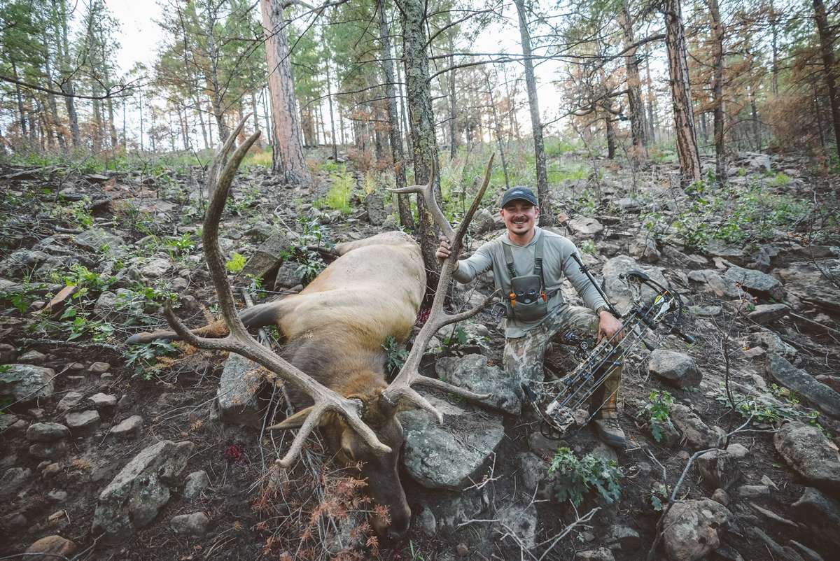 Trophy Elk