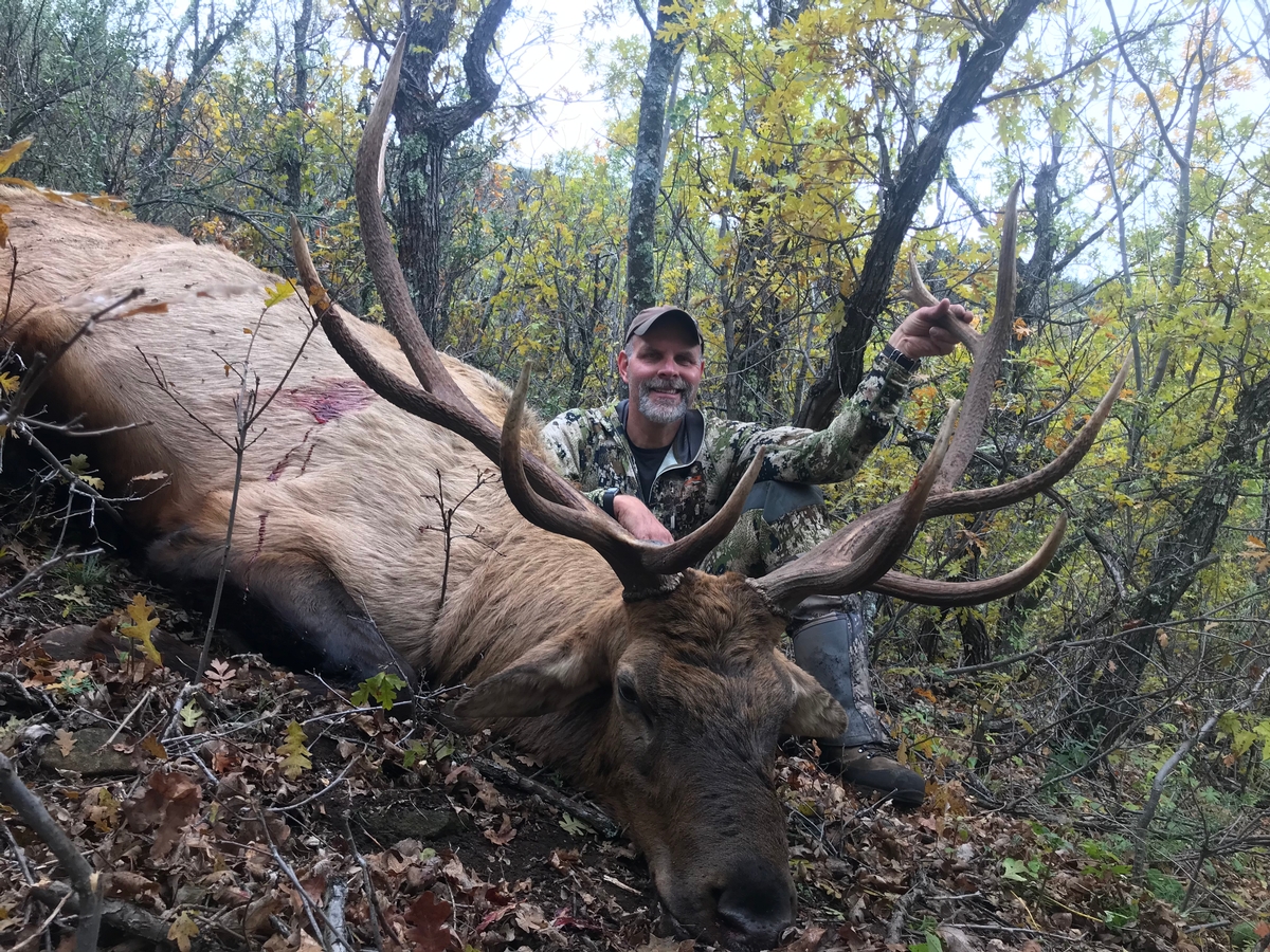 Elk Hunting New Mexico