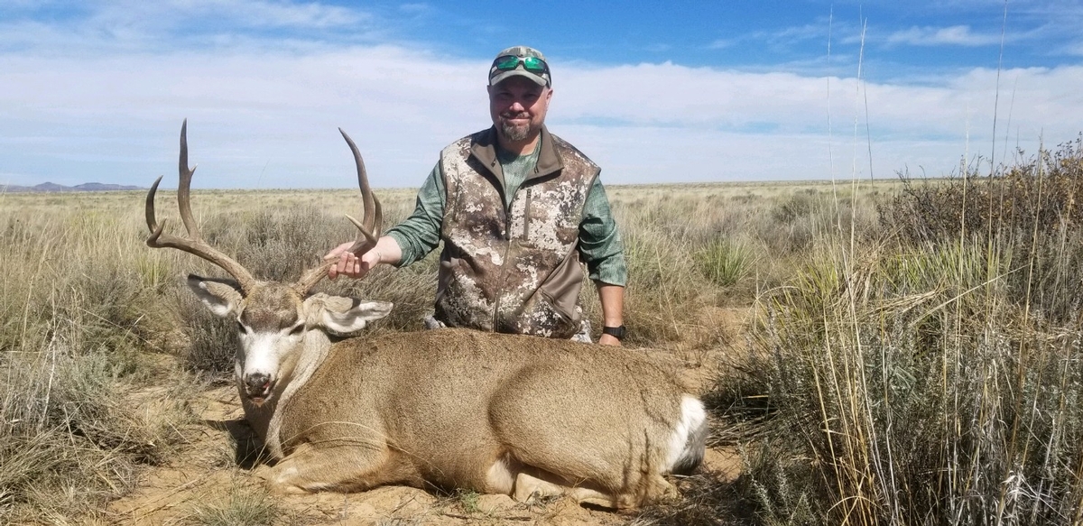 Trophy Arizona Mule Deer