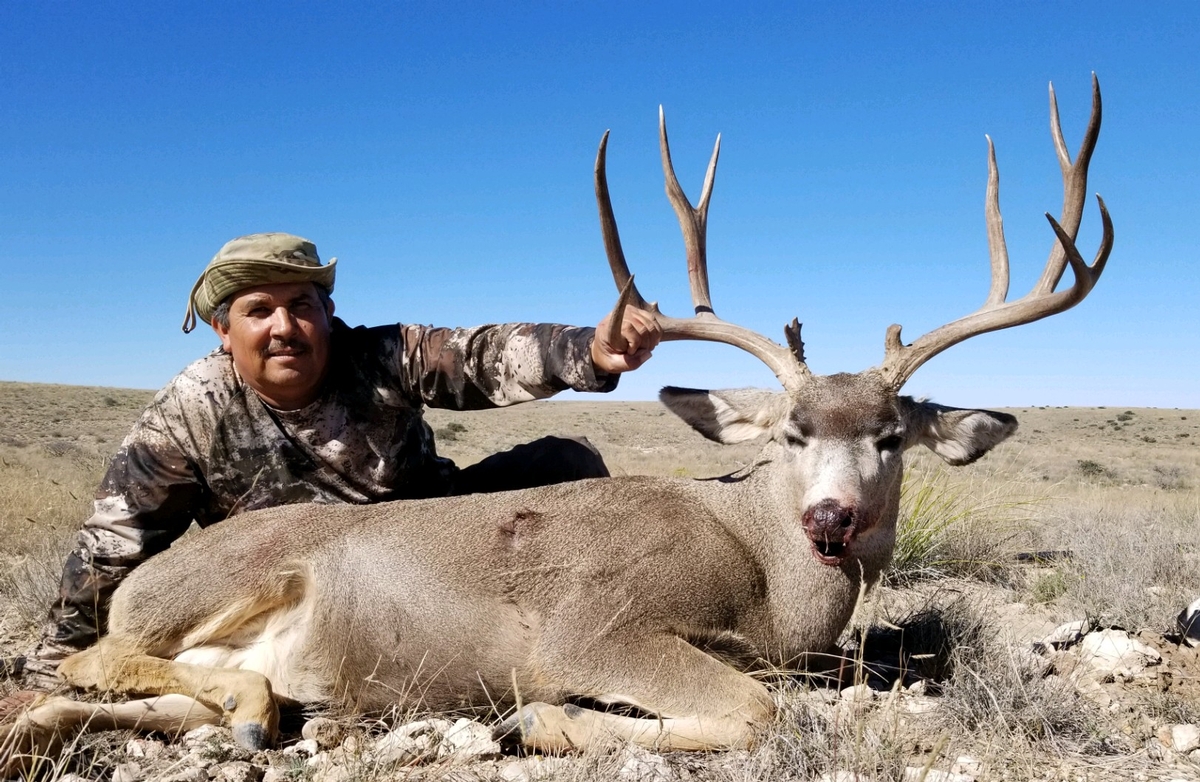 Trophy Mule Deer New Mexico