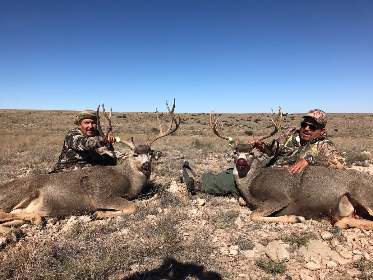 Trophy Mule Deer private land