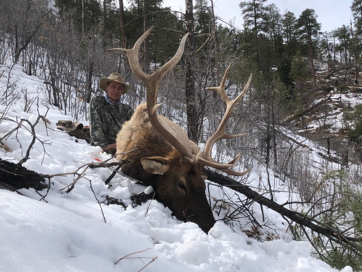 Trophy Arizona Elk hunts