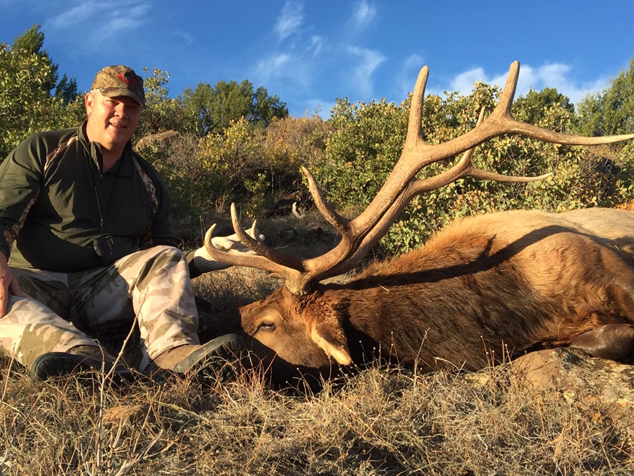 Trophy New Mexico Elk