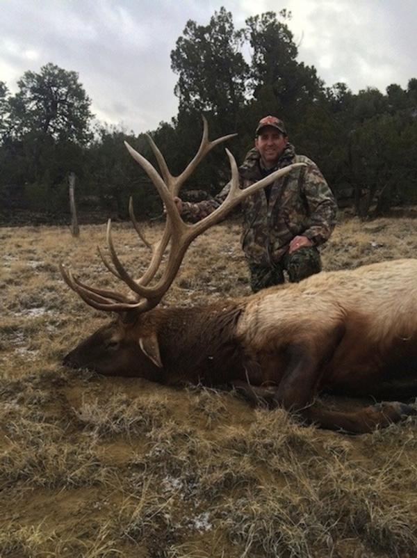 Trophy Arizona Elk