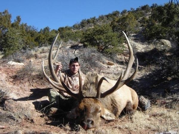 New Mexico Elk