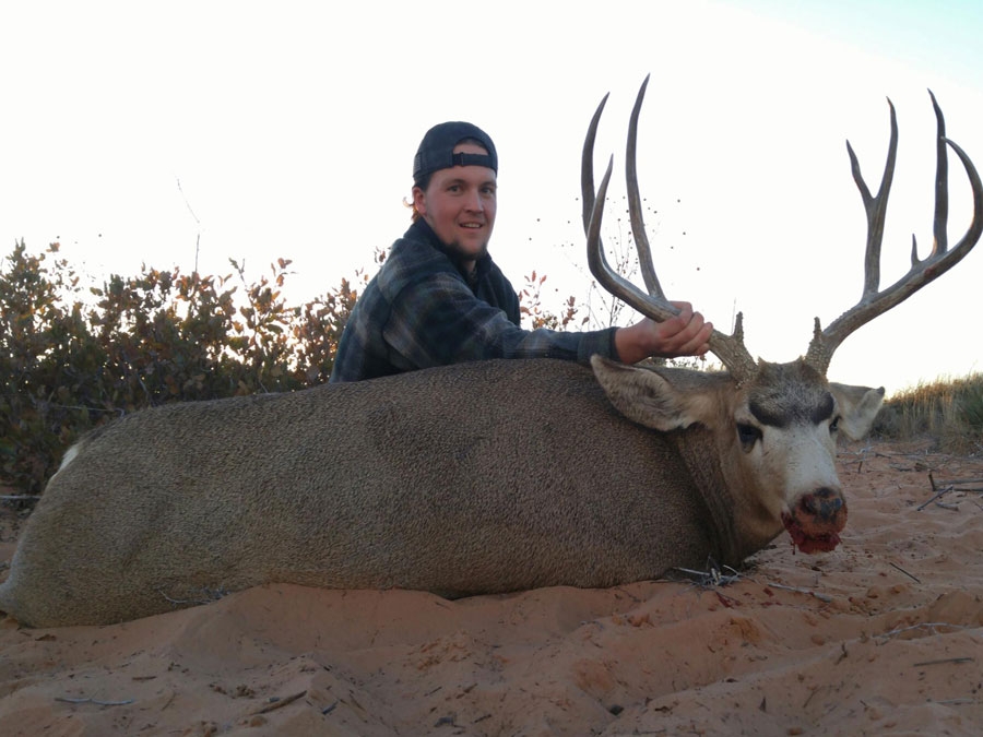 Trophy New Mexico Mule Deer