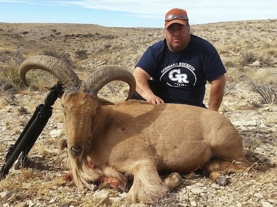 New Mexico Barbary Sheep Hunter