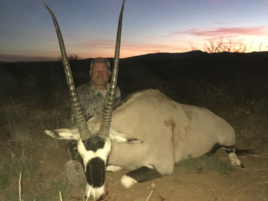 New Mexico Trophy Oryx