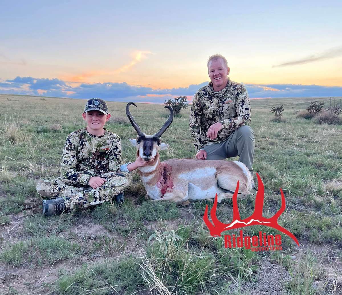 New Mexico Pronghorn Antelope Hunting