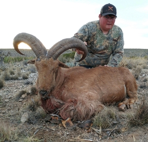 2017-new-mexico-barbary-sheep-hunt-1.JPG