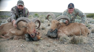 2017-new-mexico-barbary-sheep-hunt-3.JPG