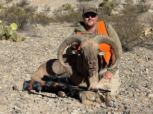 Barbary-Sheep.jpg
