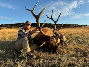 NM-Trophy-Elk.jpg