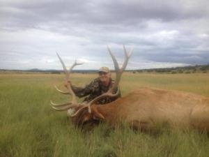 elk-hunting-04.jpg